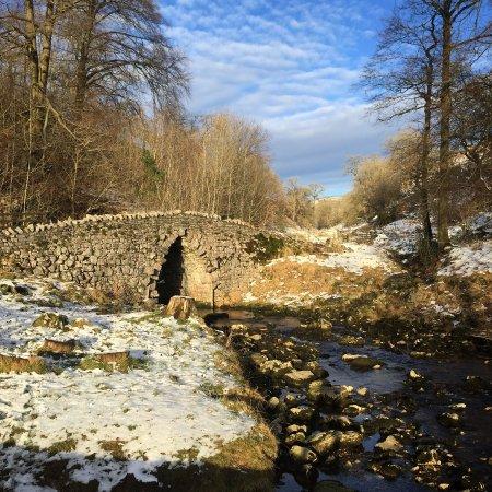Ingleborough Estate Nature Trail